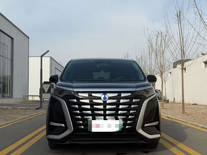 Фото 2 - Denza D9