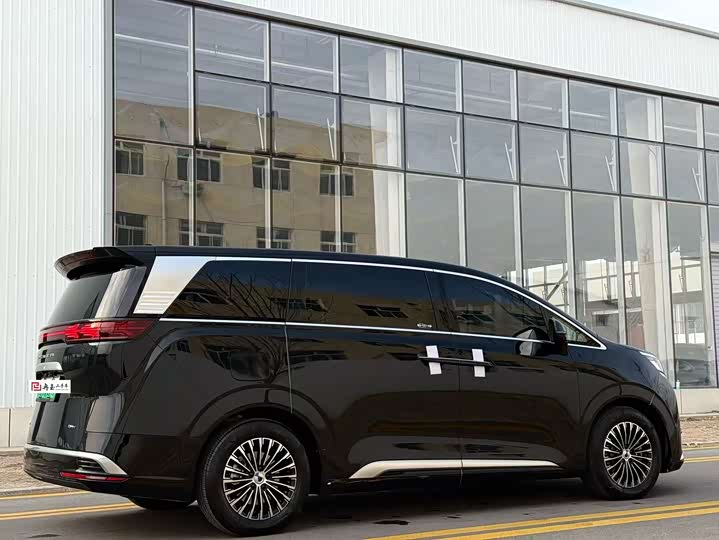 Фото 3 - Denza D9