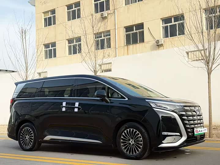 Фото 4 - Denza D9