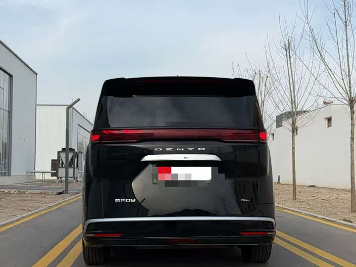 Фото 5 - Denza D9