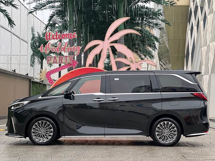 Фото 7 - Lexus LM