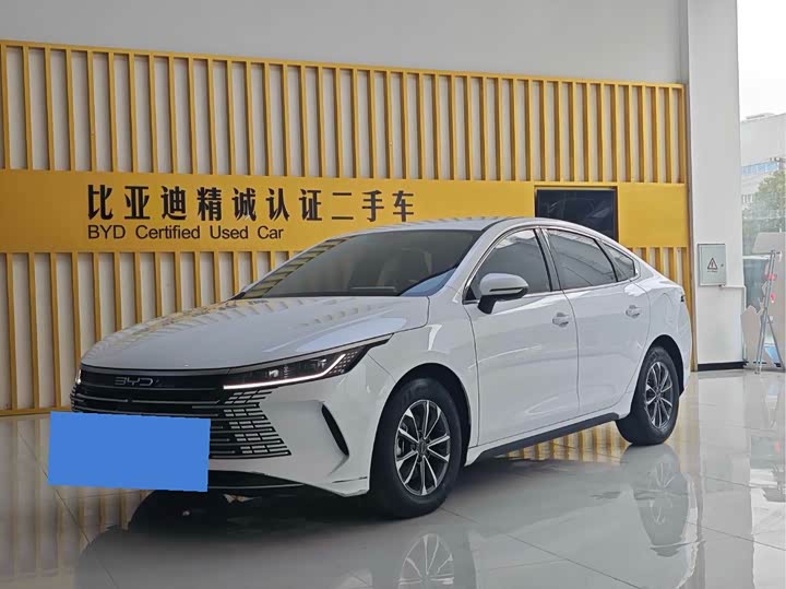 Фото 1 - BYD Destroyer 05