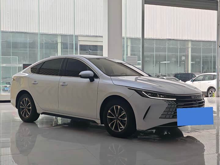 Фото 3 - BYD Destroyer 05