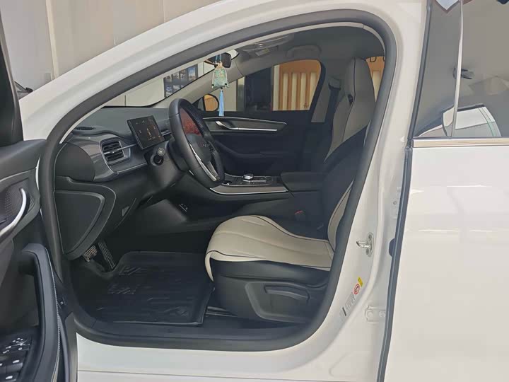 Фото 5 - BYD Destroyer 05