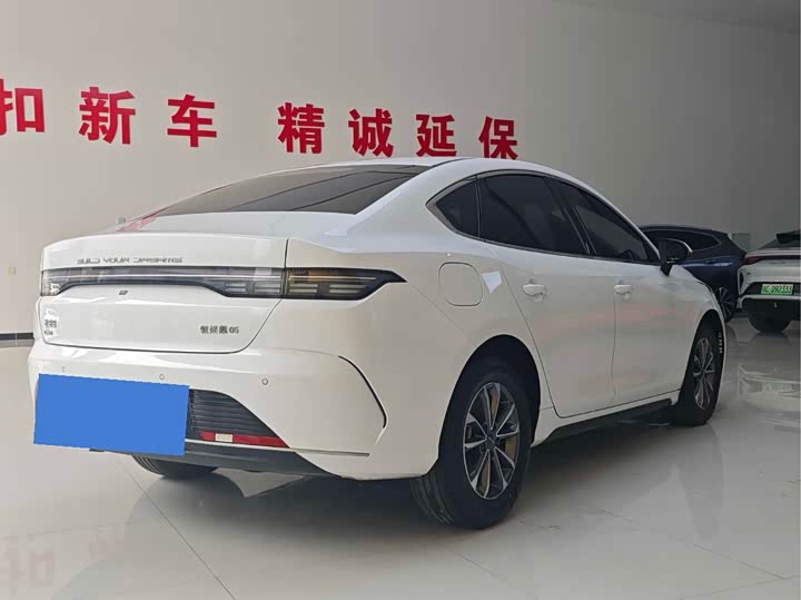 Фото 9 - BYD Destroyer 05