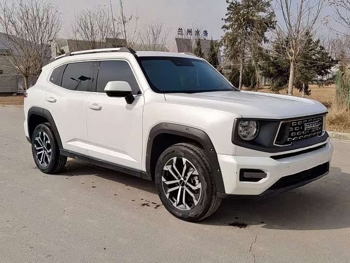 Фото 3 - Haval H-Dog