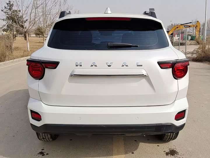 Фото 5 - Haval H-Dog