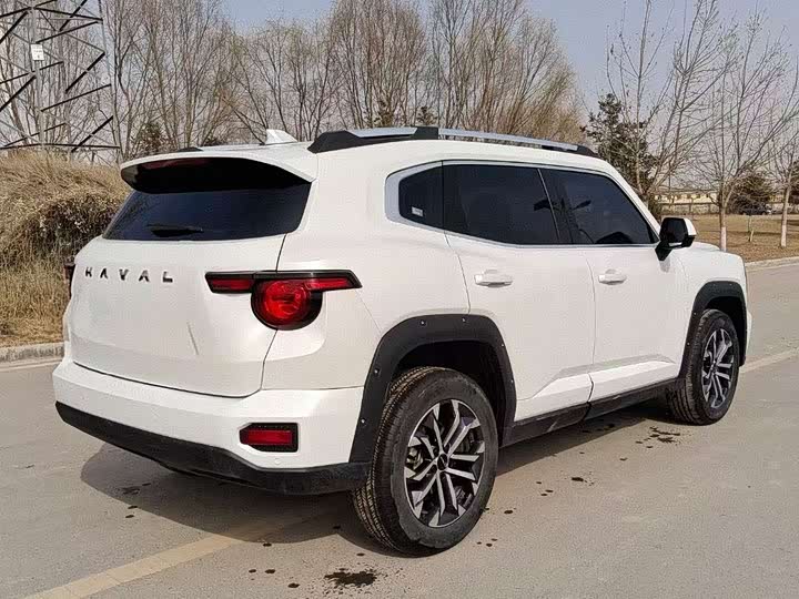 Фото 6 - Haval H-Dog