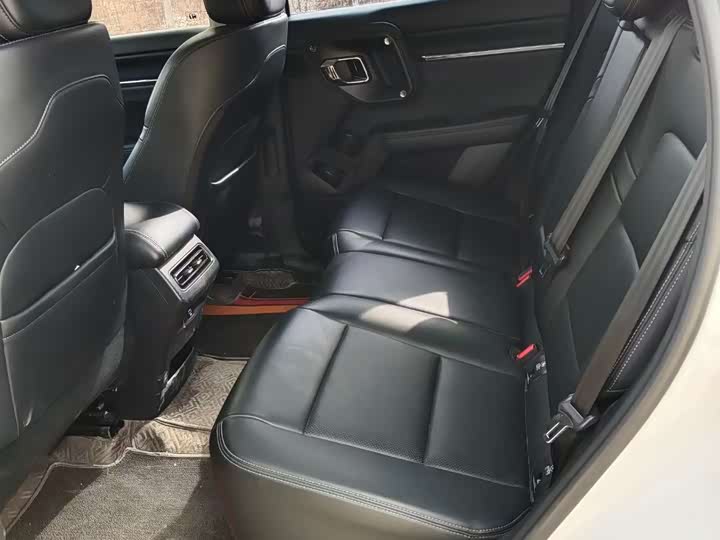 Фото 9 - Haval H-Dog