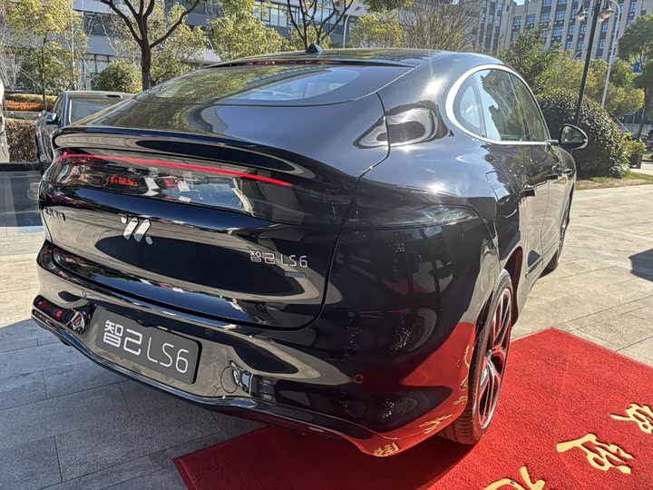 Фото 2 - IM motors LS6