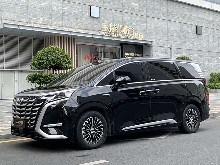 Фото 1 - Denza D9