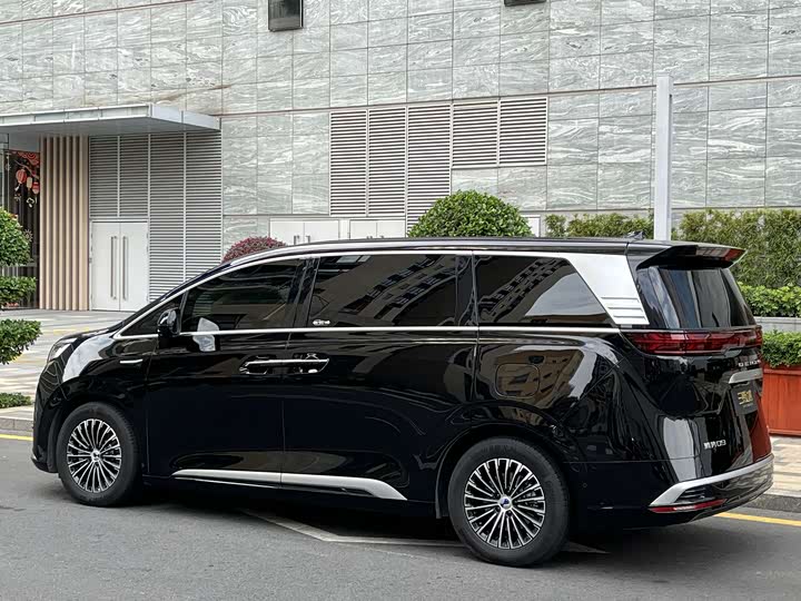 Фото 4 - Denza D9