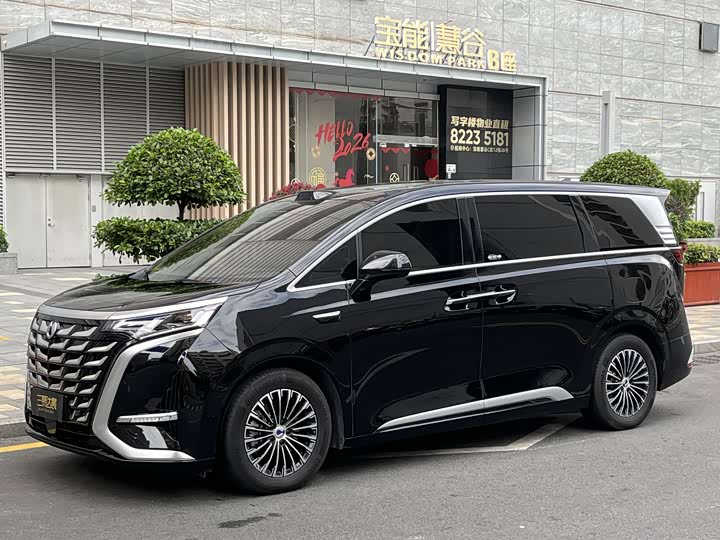 Фото 6 - Denza D9