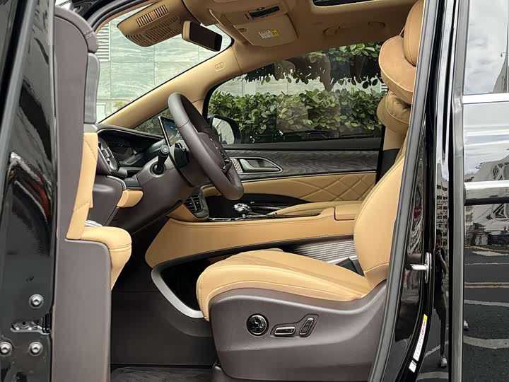 Фото 8 - Denza D9