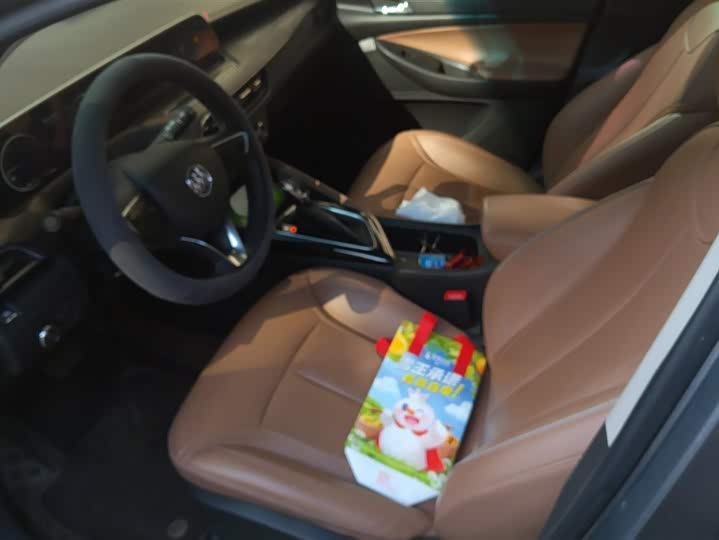 Фото 9 - Buick GL6