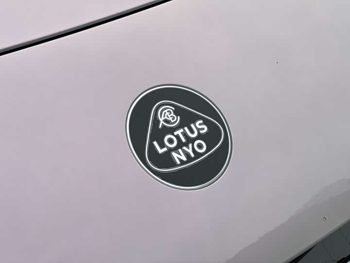 Фото 8 - Lotus Eletre