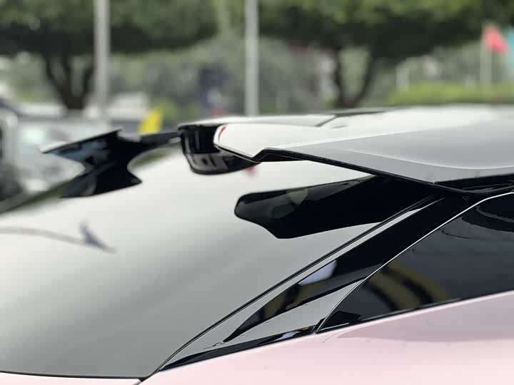 Фото 9 - Lotus Eletre