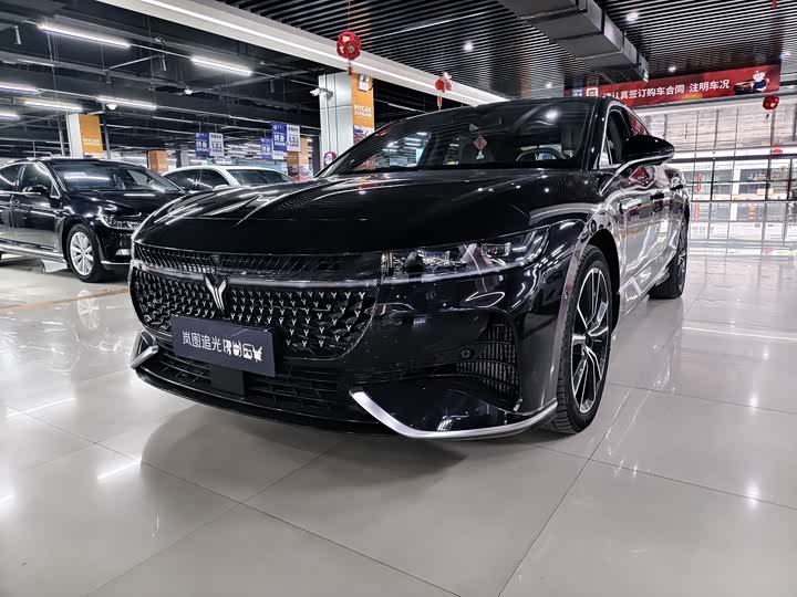 Фото 1 - Voyah Passion