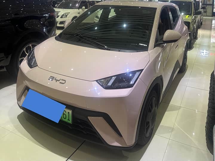 Фото 1 - BYD Seagull