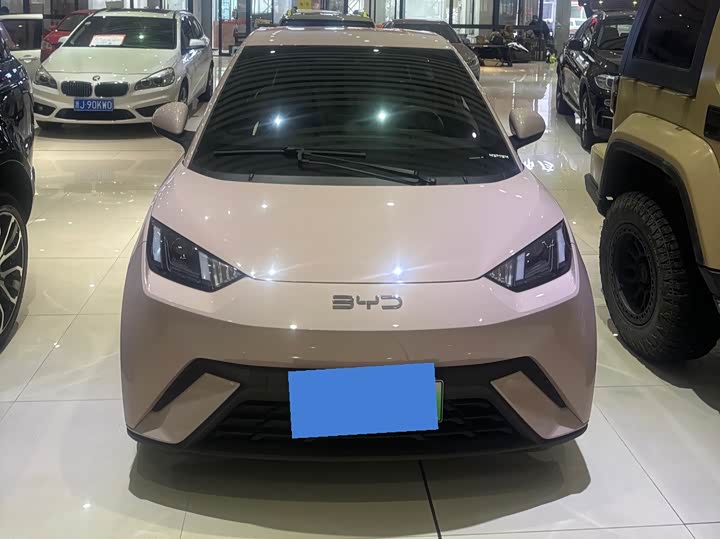 Фото 2 - BYD Seagull