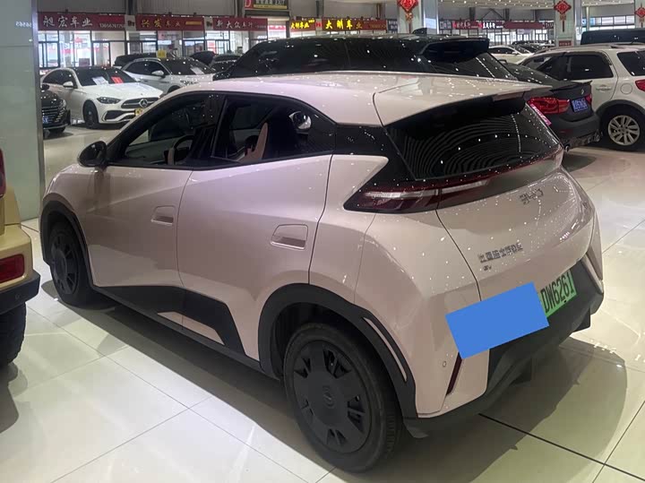 Фото 3 - BYD Seagull