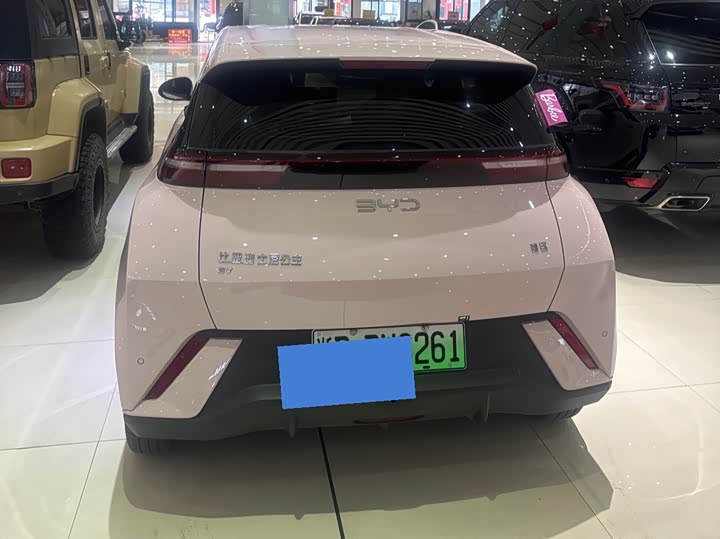 Фото 4 - BYD Seagull