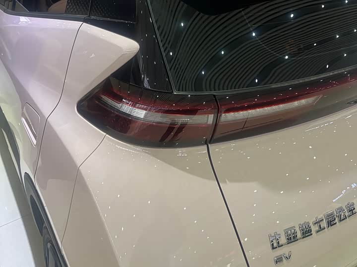 Фото 6 - BYD Seagull