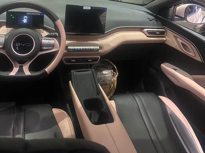 Фото 9 - BYD Seagull