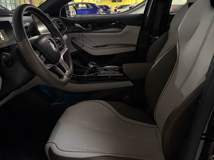 Фото 4 - BYD Qin Plus