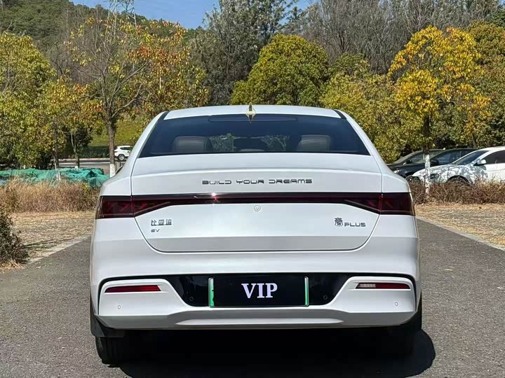 Фото 5 - BYD Qin Plus