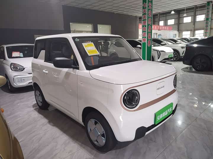 Фото 3 - Geely Galaxy Panda Mini