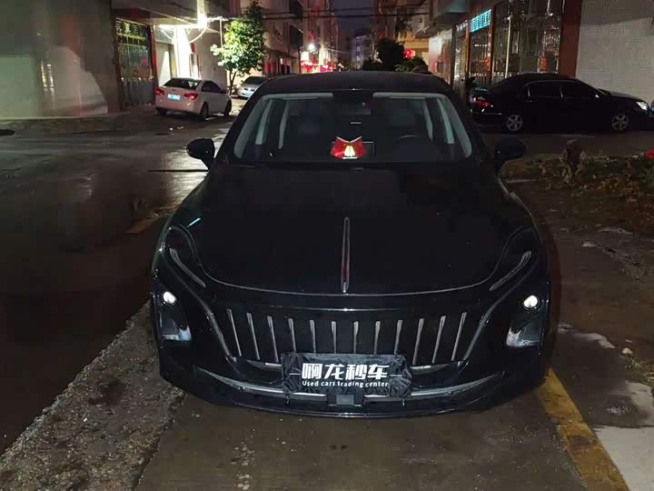 Фото 2 - Hongqi E-QM5