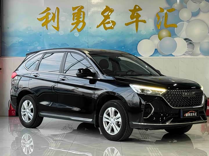 Фото 3 - Haval M6