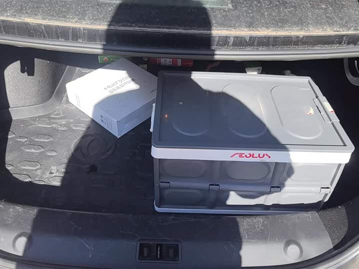 Фото 4 - Dongfeng Aeolus Yixuan Max