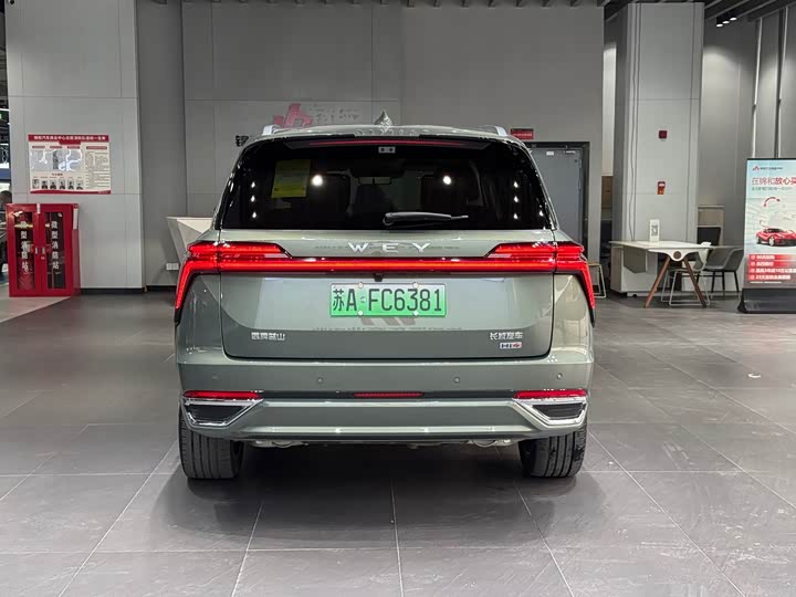 Фото 6 - Wey Lanshan