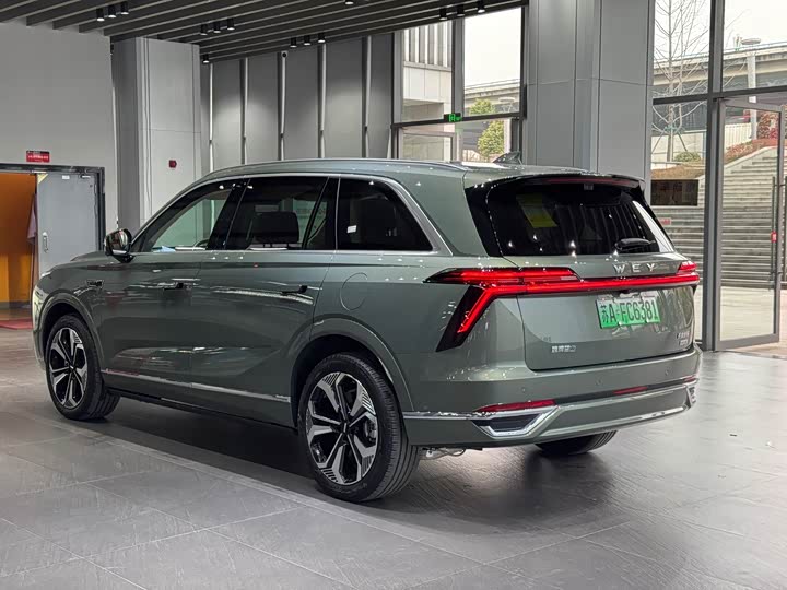 Фото 7 - Wey Lanshan