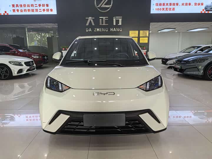 Фото 2 - BYD Seagull