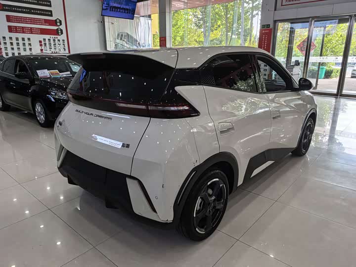 Фото 8 - BYD Seagull