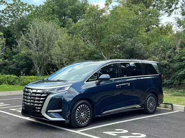 Фото 1 - Denza D9