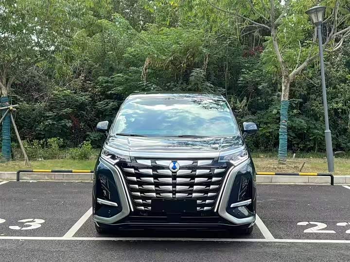 Фото 2 - Denza D9