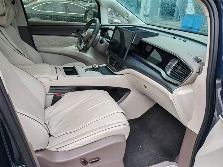 Фото 3 - Denza D9