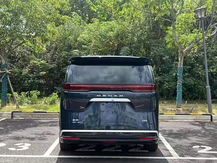 Фото 5 - Denza D9