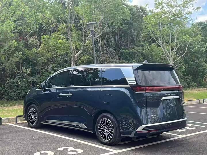 Фото 6 - Denza D9