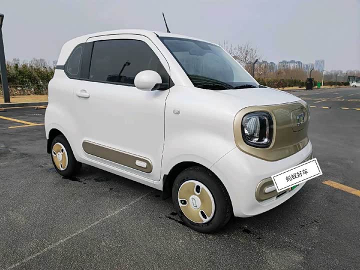 Фото 3 - Bestune Pony