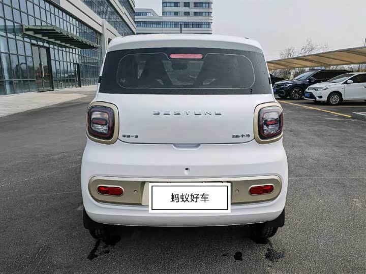 Фото 6 - Bestune Pony