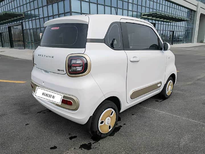 Фото 7 - Bestune Pony