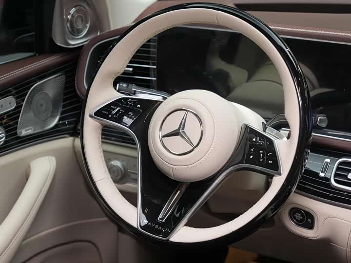 Фото 13 - Mercedes-Benz Maybach GLS