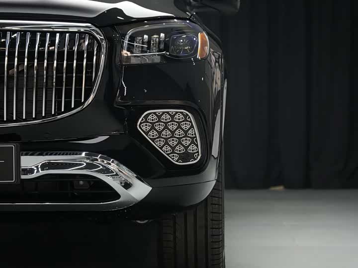 Фото 25 - Mercedes-Benz Maybach GLS