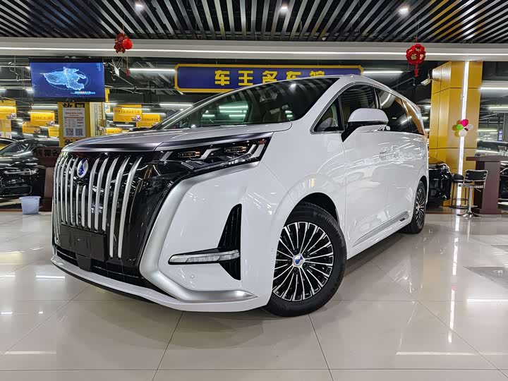 Фото 1 - Denza D9