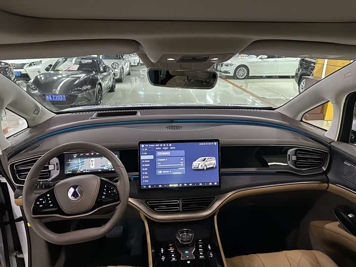 Фото 4 - Denza D9